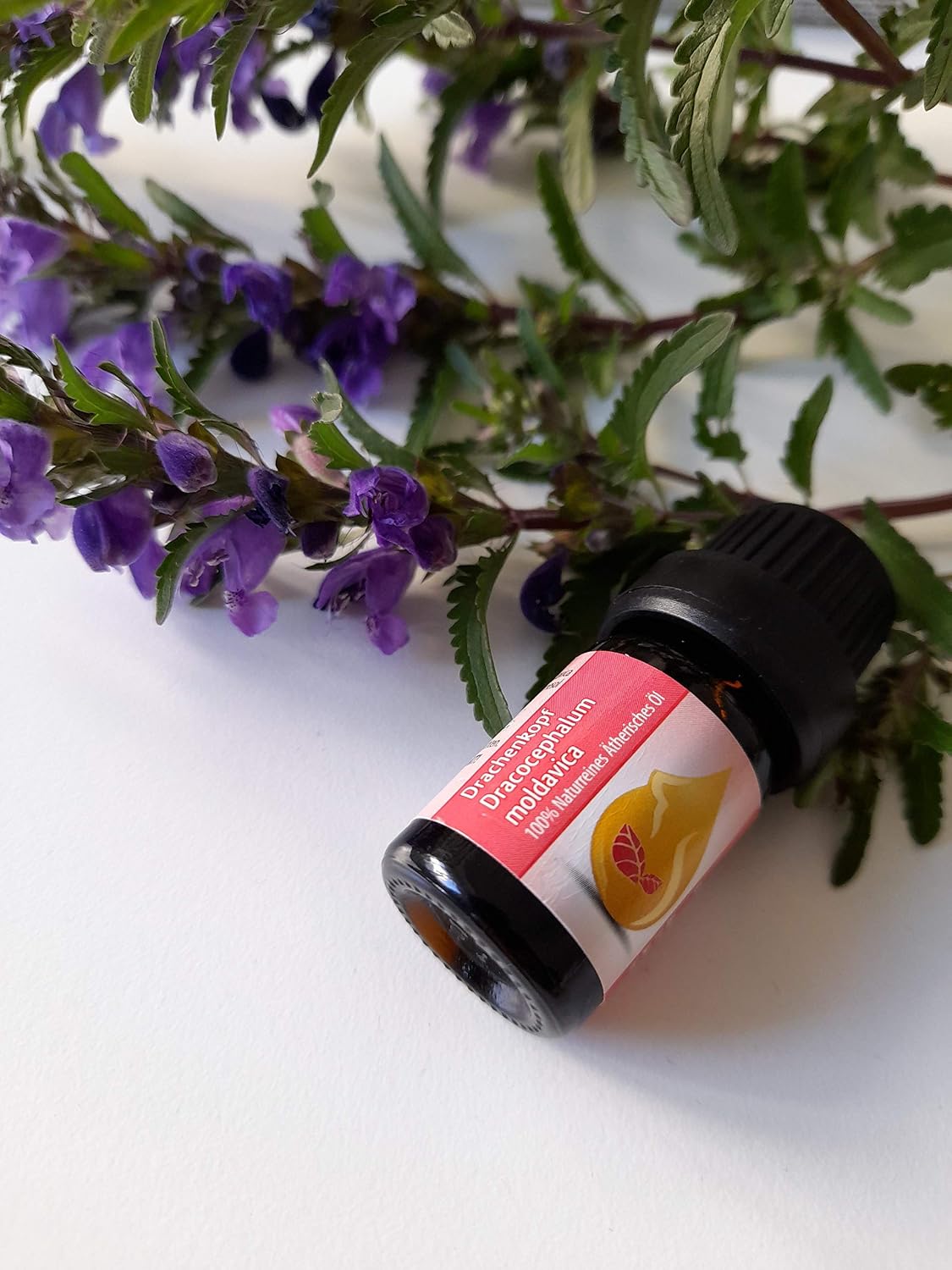 Essences Bulgaria Organic Moldavian Dragonhead Essential Oil 5ml, Pale Pink, 5 ml (Pack of 1) - Image 5