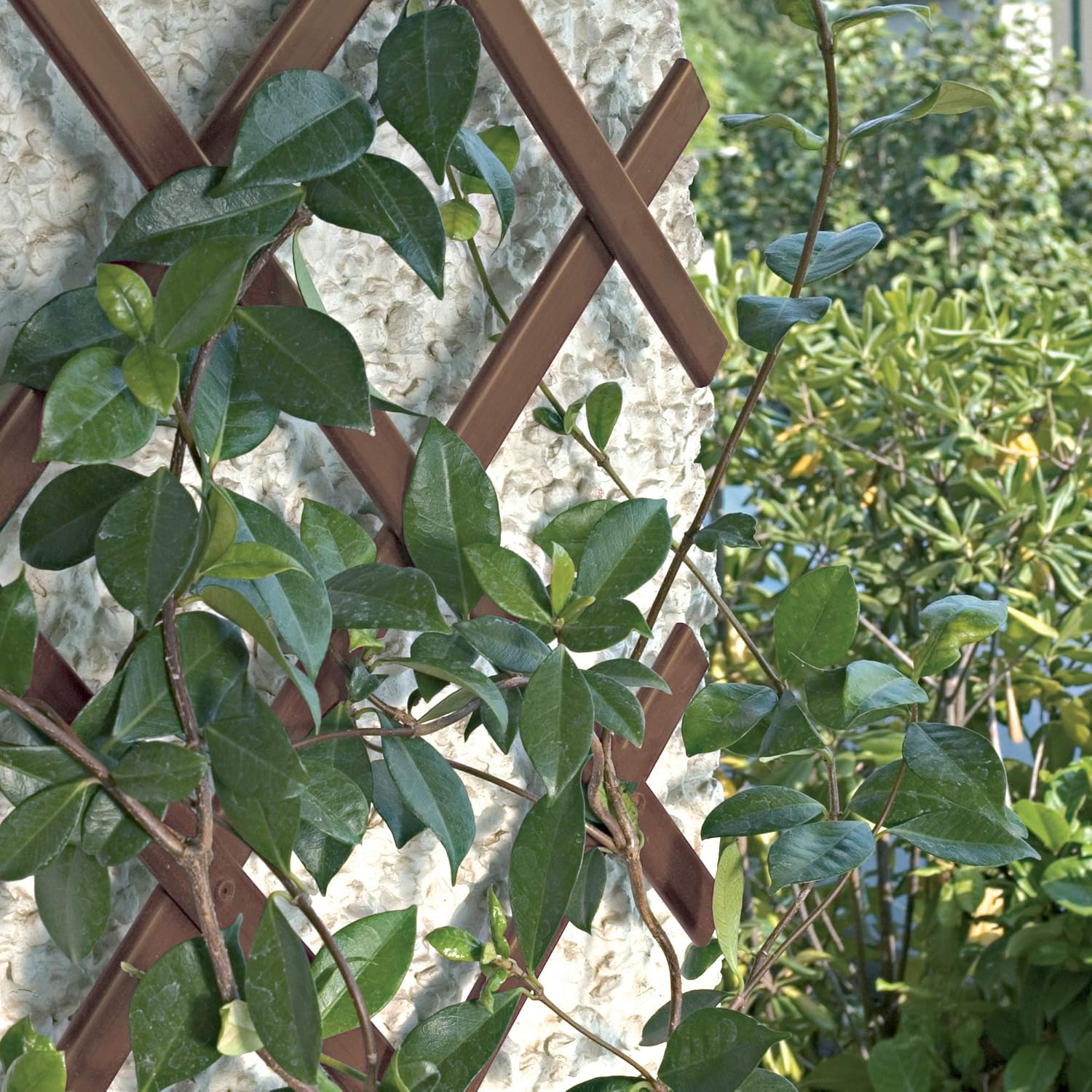Wakects Traliccio Estensibile In Salice Per Piante Rampicanti - Recinzione Naturale Per Giardino, Terrazzo E Balcone (5 Pezzi, 180x90 Cm)