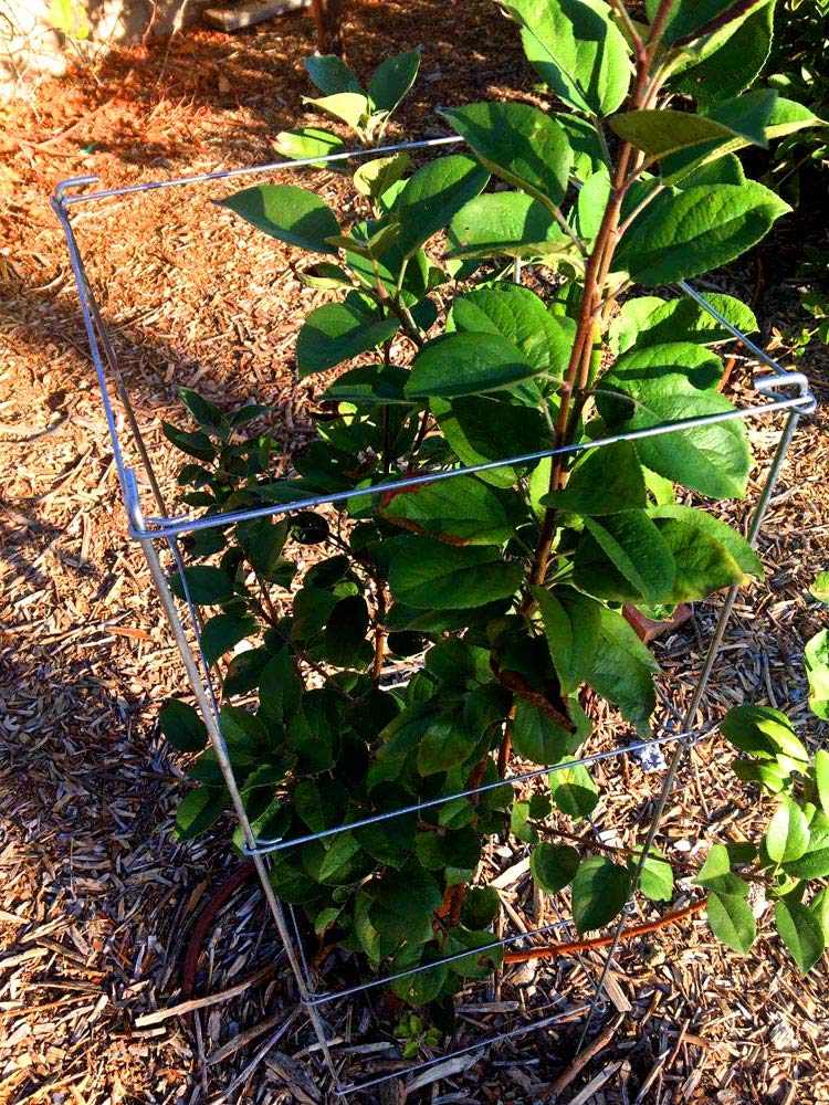 mtb Torre de Soporte para macetas de 12 Pulgadas por 46 Pulgadas ...