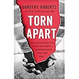 Torn Apart: How the Child Welfare System Destroys Black Families--and How Abolition Can Build a Safer World