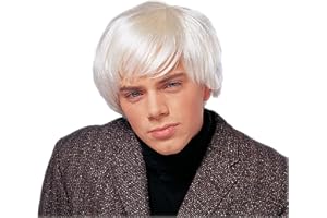 Costume Culture Men's Artist Wig