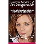 Customer Service - A Very Demanding Job: 2: Part 2: A Sales Rep’s Total submission and Obedience is Demanded