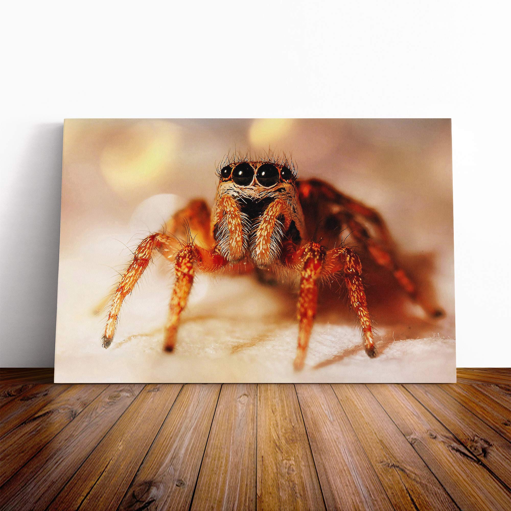 Jumping Spider Canvas Print | Gallery Wrapped 30mm Frame Wall Art | 20x14 inches | Ready to Hang | Modern Animal Picture | Living Room Bedroom Lounge Office