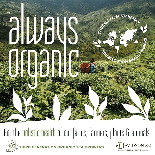 DAVIDSON’S ORGANICS, ENGLISH BREAKFAST, LOOSE LEAF TEA, 16-OUNCE BAG