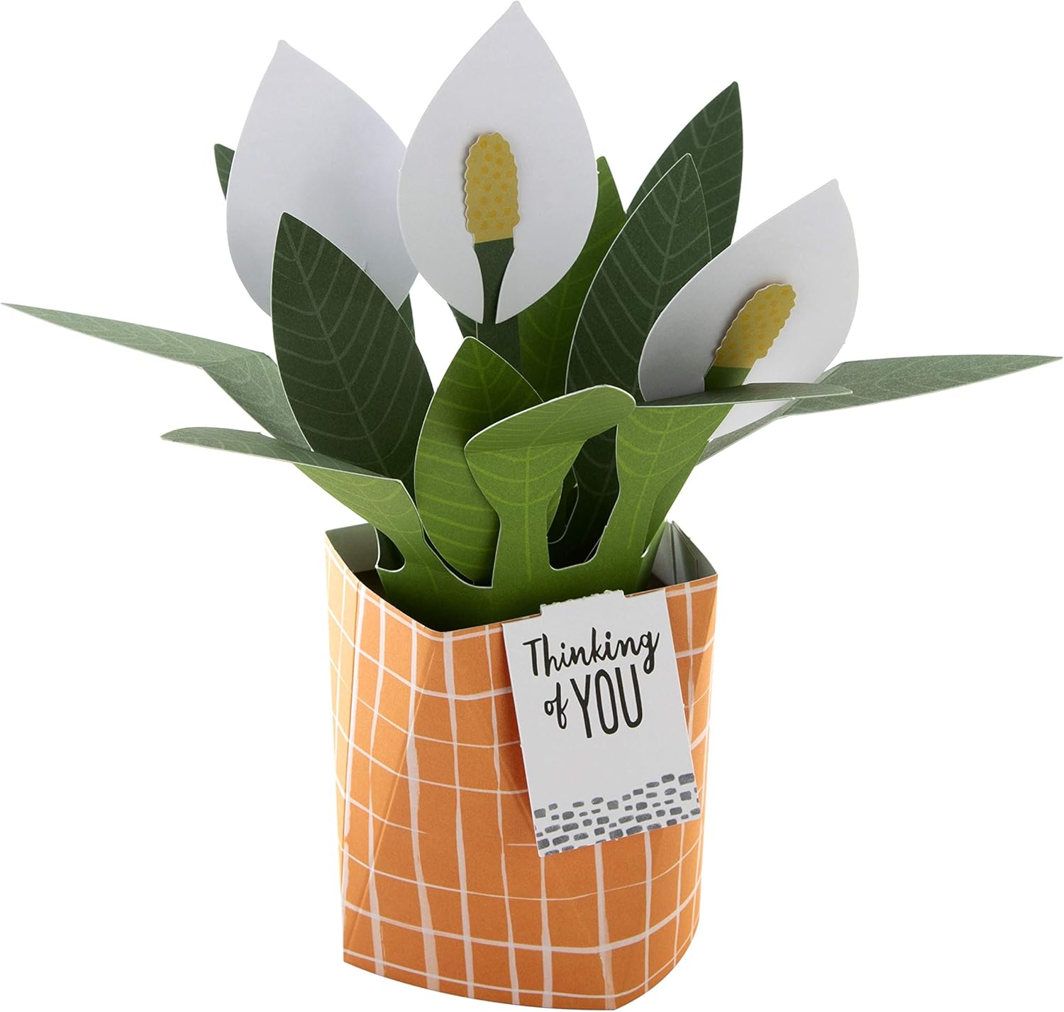 Hallmark Pop Up Card - Contemporary Peace Lily Plant Design, Thinking Of You 3D Lily - Image 4