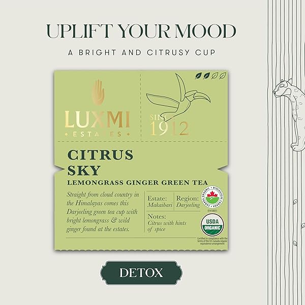 LUXMI ESTATES CITRUS SKY LEMONGRASS GINGER GREEN TEA 50 TEA BAGS (100G) PACK | CERTIFIED ORGANIC DARJEELING GREEN TEA | NATURAL LEMON BALM TEA – CALMING, SUPPORTS DIGESTION | 50 CUPS BULK PACK