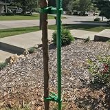 KINGLAKE 5 Pcs 35cm Tree Ties Adjustable Garden Supports for Shrubs Roses view 6