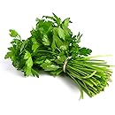 Coriander Leaf