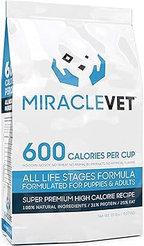 high calorie dog food for senior dogs