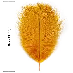 Soarer Gold Ostrich Feathers for Crafts - 15 pcs