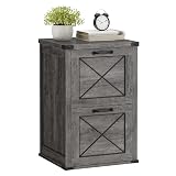 VASAGLE File Cabinet, Filing Cabinet with 2 File Drawers, Printer Stand, Fit A4, Letter Size, Hanging File Folders, Modern Farmhouse Style, for Home Office, Misty Gray UOFC048G01