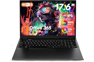 17.6 Inch Laptop, 4-Core N95 CPU, 16GB DDR5 RAM 640GB SSD, Windows 11 Laptops Computer with 100% sRGB IPS FHD Display, Office