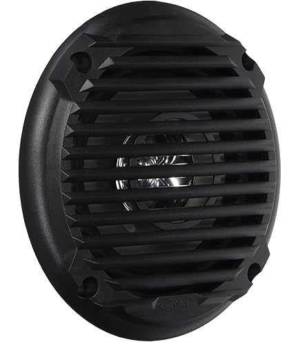 Amazon.com: Jensen Model MS5006B Dual Cone Marine Grade Waterproof