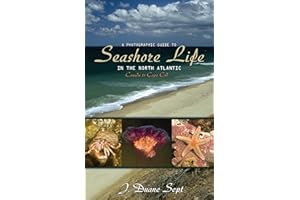 A Photographic Guide to Seashore Life in the North Atlantic: Canada to Cape Cod