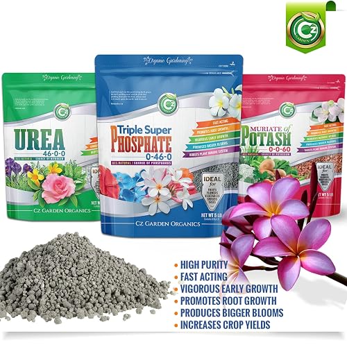 Buy Triple Super Phosphate 0-45-0 Online Tunisia