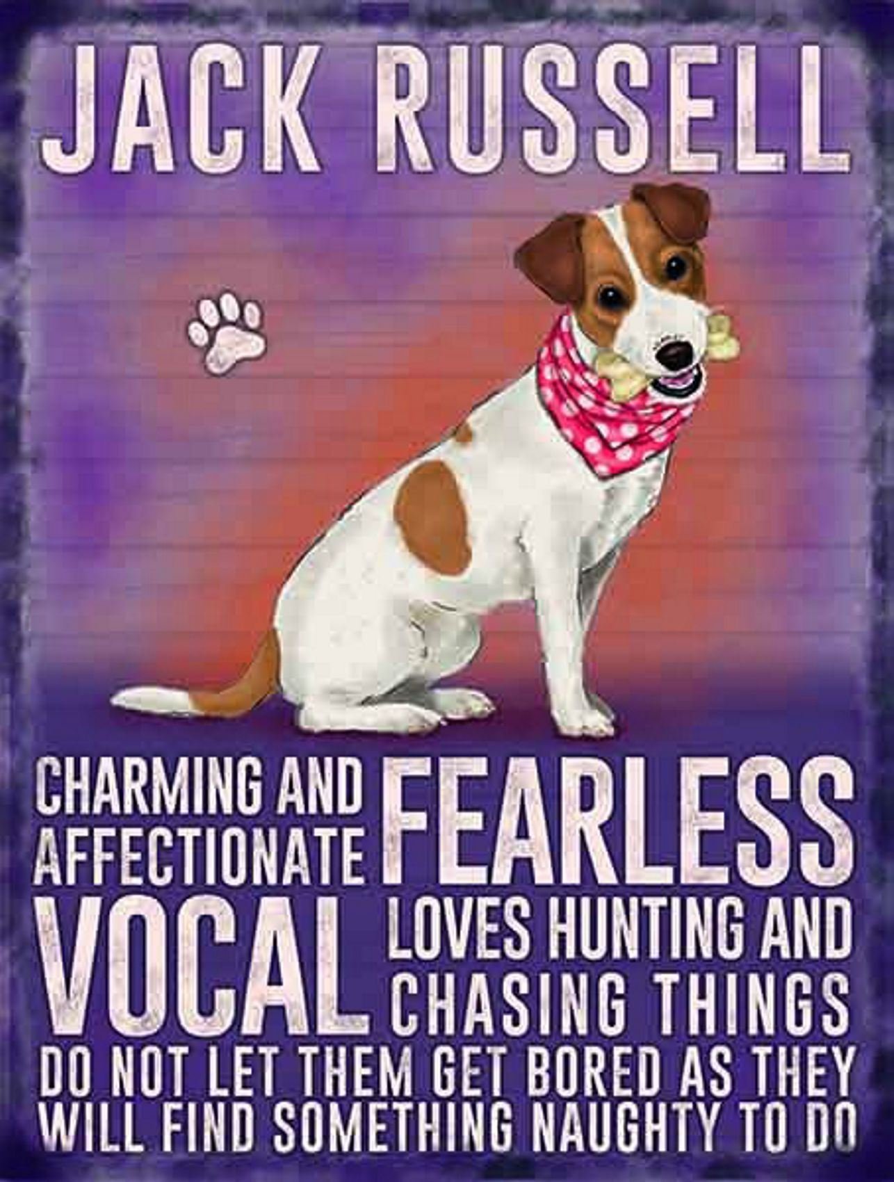 Vintage Style Retro Metal Sign Dog Lovers Owners Gift Tin Pedigree Dogs, Metal, JACK RUSSELL, 20 x 15 cm