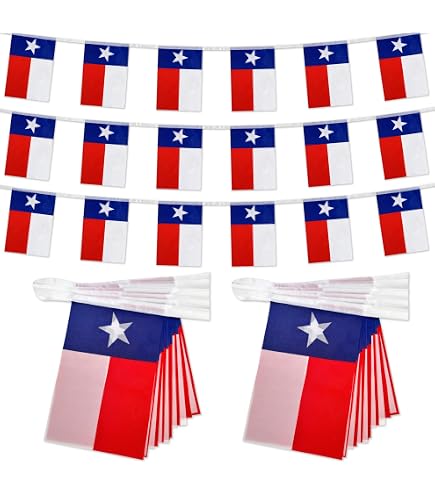 AZ FLAG Iowa Mini Banner - 6x4 Inch Double-Sided Car Flag With Suction Cup, 100% Polyester