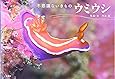 ウミウシ―不思議ないきもの