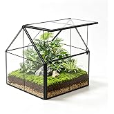Ferrisland Glass Geometric Plant Terrarium, Clear Glass Succulent | &amp; Air Plant Planter for Moss, Fairy Garden, Home Garden Office Tabletop Decoration, DIY Craft Gift(5.0"x4.3"x4.3")