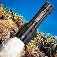 GoZebra D10 4500 Lumen Underwater Light, 3 Modes Dive Light Scuba Diving Flashlight Dive Torch, Waterproof Flashlight Rechargeable, Safety Dive Lights with Battery and Charger for Night Diving