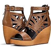 Rollda Women's Wedge Sandals, Platform Sandals High Heels for Women, Fashion Dressy Casual Sandals 2025, Comfortable Open Toe Summer Shoes with Back Zipper Design, Adjustable Ankle Strap