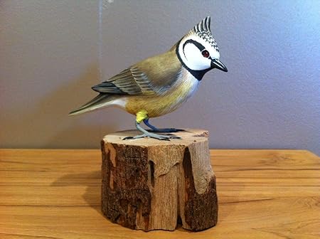 Wanda Collection Oiseau Des Jardins En Bois Sculpté Et Peint