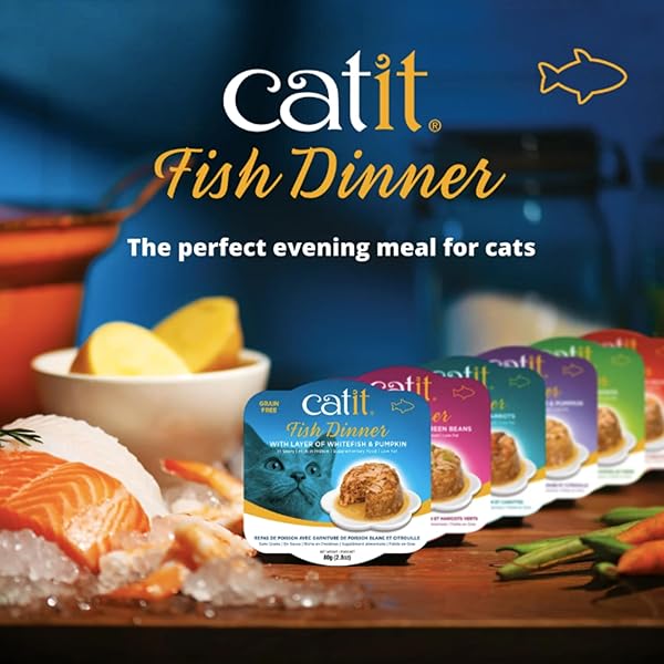 CATIT FISH DINNER WITH SHRIMP & GREEN BEANS – HYDRATING AND HEALTHY WET CAT FOOD FOR CATS OF ALL AGES 6 CUPS