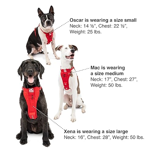 Kurgo Tru-Fit Enhanced Strength Dog Harness Certified Crash