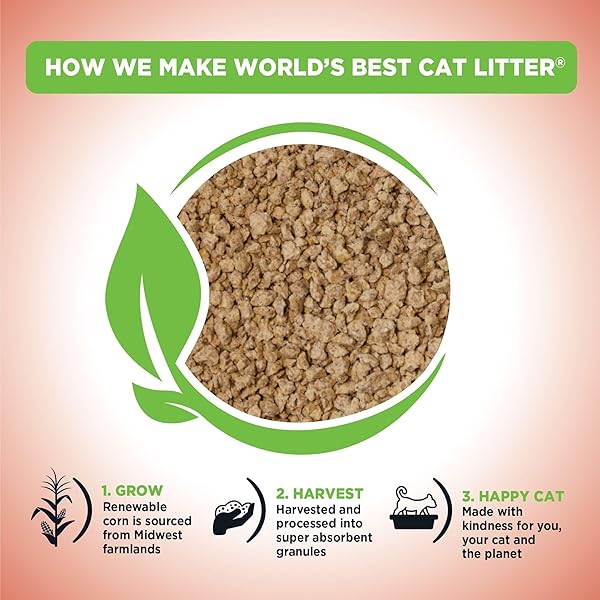 WORLD’S BEST CAT LITTER POOP FIGHTER MAXIMUM ODOR DEFENSE, 15-POUNDS – NATURAL INGREDIENTS, QUICK CLUMPING, FLUSHABLE, 99% DUST FREE & MADE IN USA – LONG-LASTING ODOR CONTROL & EASY SCOOPING