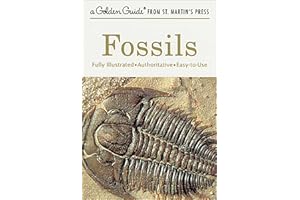 Fossils: A Fully Illustrated, Authoritative and Easy-To-Use Guide (Golden Guides from St. Martin's Press)
