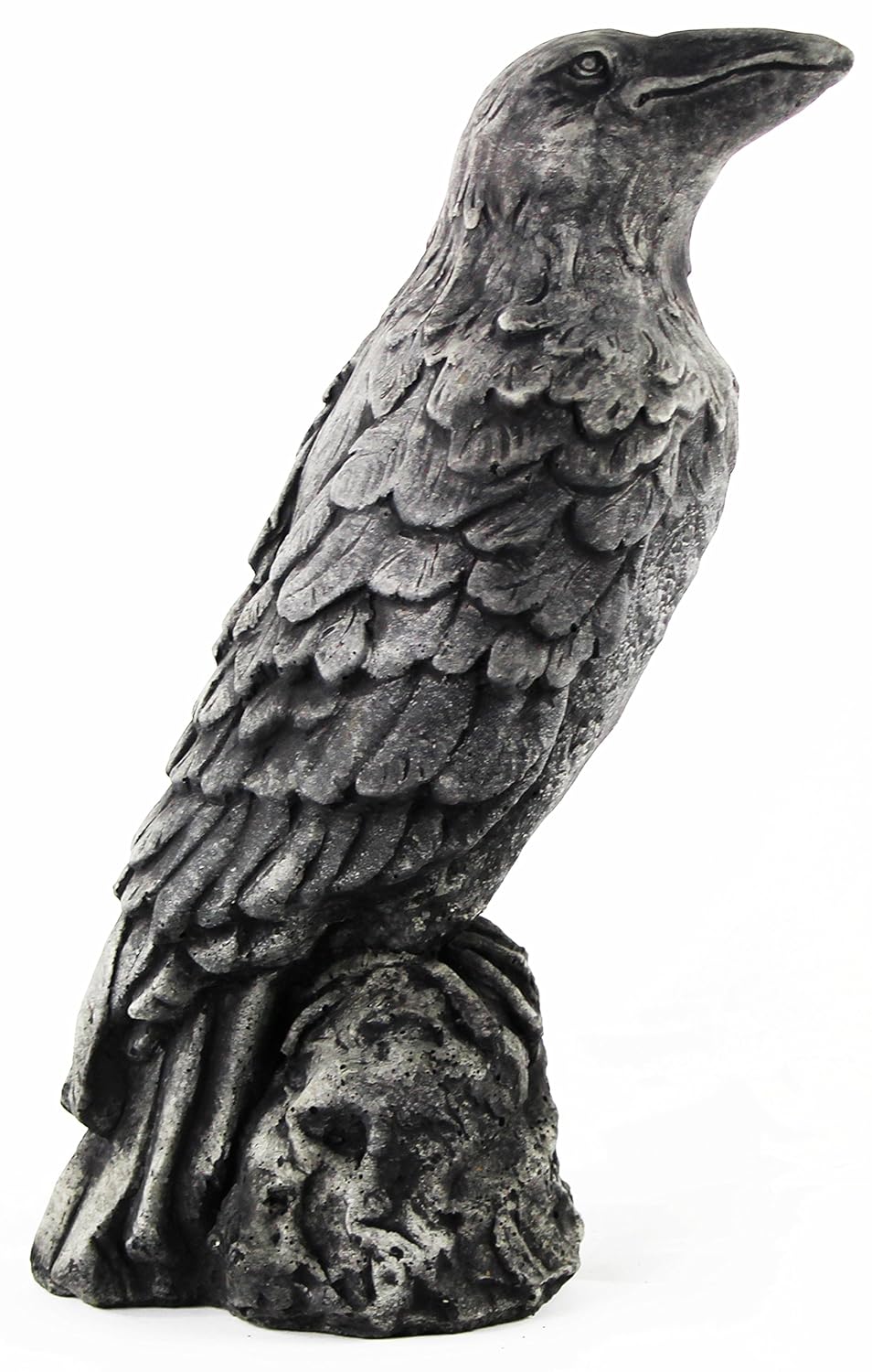 Amazon.com : Standing Raven Home and Garden Statues Concrete Statuary