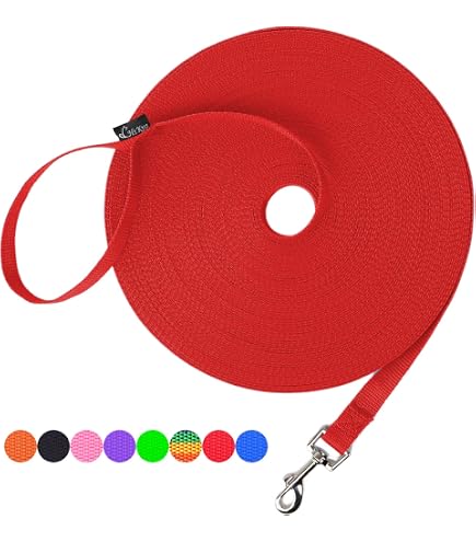 Nylon Dog Training Leash - 50ft Long, 3/4 Inch Wide, Rainbow Color, For Recall & Obedience