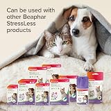 Beaphar StressLess Herbal Calming Cat Collar 35cm Reduces Stress Valerian view 8