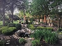 Review Image by the202 the202