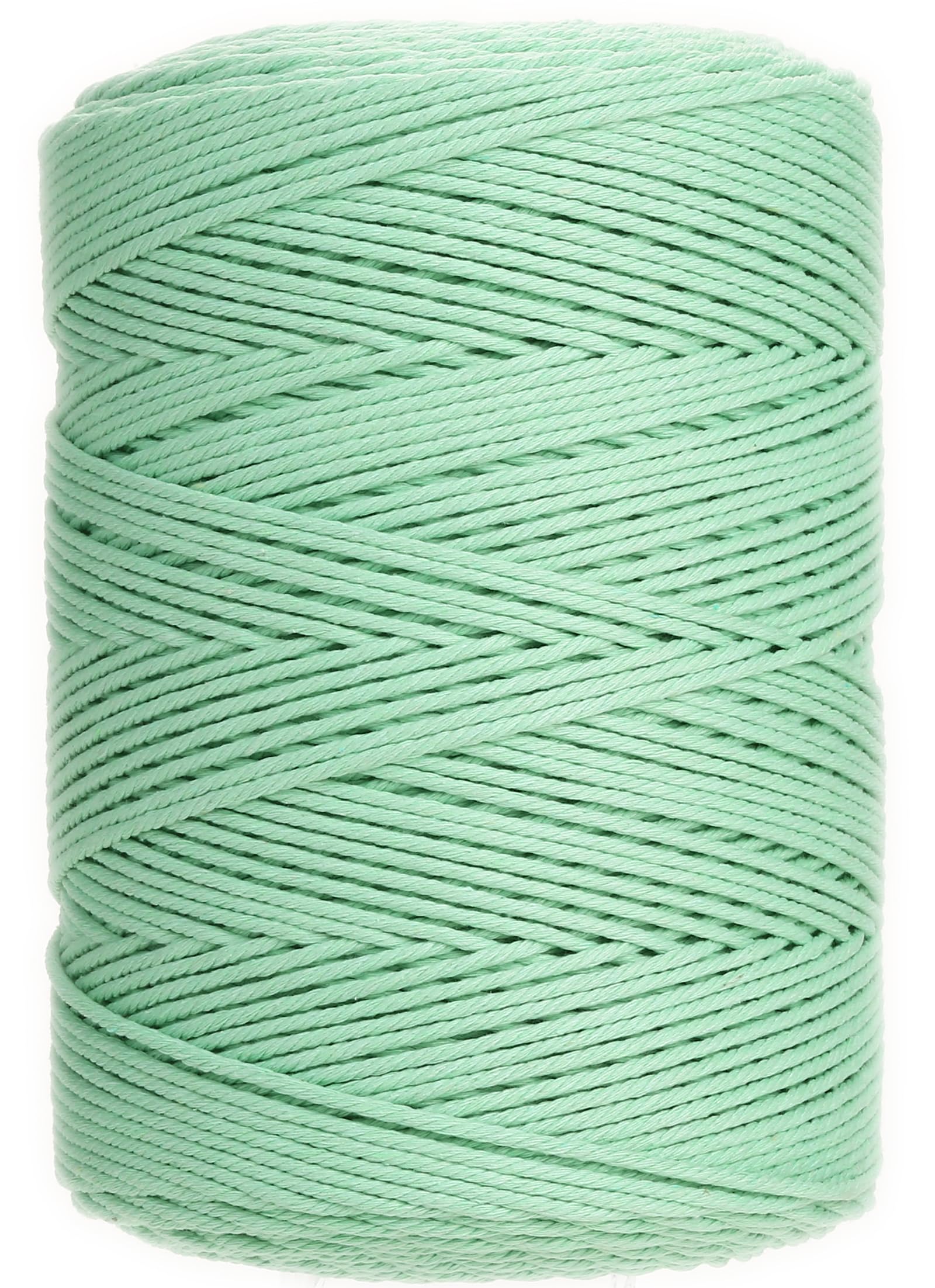 GOHOF Macrame Cord 3mm x 450m Premium Cotton Rope, 4 Strand Twisted Soft String for Perfect Macrame Art, Without Chemicals (Aqua Green) — image 1