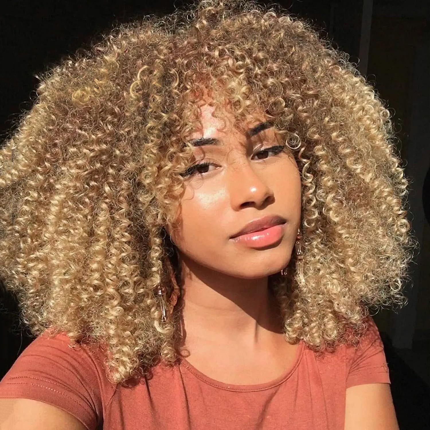 PORSMEER Curly Afro Wigs for Black Women Short Kinky Curly Wigs with Fringe Premium Synthetic Hair Full Fluffy Wig for Ladies Daily Wear or Cosplay Party,14inch Brown Mix Blond — image 1