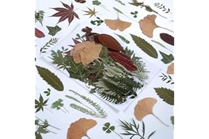 AHTONG 100 PCS Real Dried Pressed Greenery Leaves Natural Plant Herbarium for DIY Resin Mold Jewelry Making Craft (20 Styles)