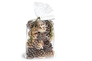 ANDALUCA Mixed Natural & Gold Decorative Pinecone Vase & Bowl Fillers | Pinecones for Decorating & Home Decor (Gold)