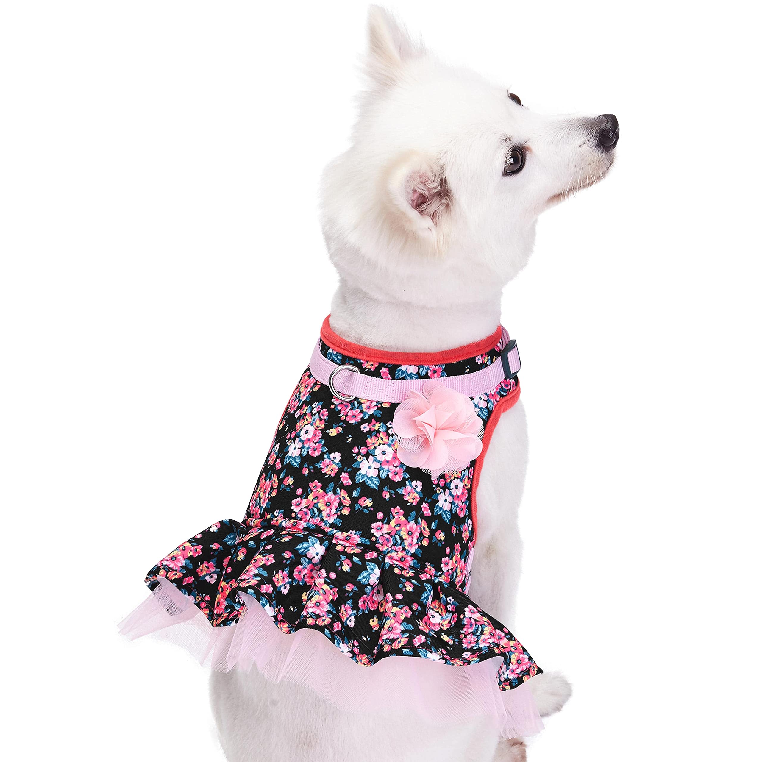 Blueberry Pet New Soft & Comfy Spring Made Well Elegant Floral No Pull Mesh Dog Costume Harness Dress in Sleek Black, Chest Girth 48.5cm-53.5cm, Neck 39cm-44cm, Small, Adjustable Harnesses for Dogs