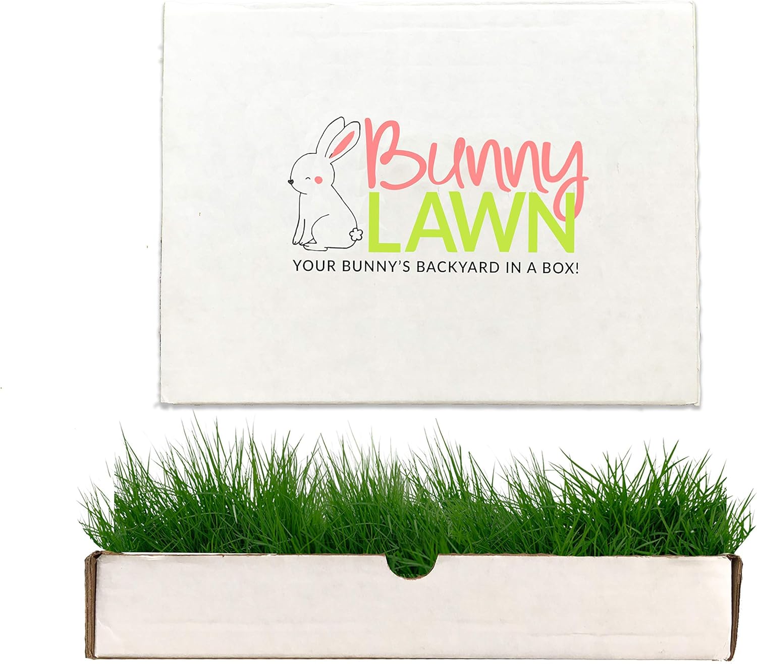 Bunny Lawn Fresh Grass Mat for Your Rabbit, 12 x 9