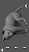 Cat Pose Tool 3D