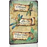 Dragonfly Tin Sign Retro Accept What Is Metal Signs Vintage Dragonfly Wall Art Outdoor Garden Decor Dragonfly Gifts For Women Bathroom Sign Home Decoration Let Go Of What Was Have Faith In What Will