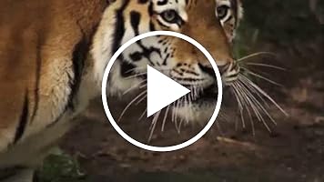 A video posted by the author.