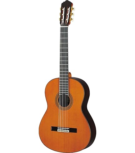 Amazon.com: Yamaha CG182S Solid Spruce Top Classical Guitar