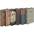 Deco 79 Wooden Decorative Box Faux Book Book Shaped Boxes with Varying Covers, Set of 6 Decorative Keepsake Boxes 7"W, 1"H, Multi Colored