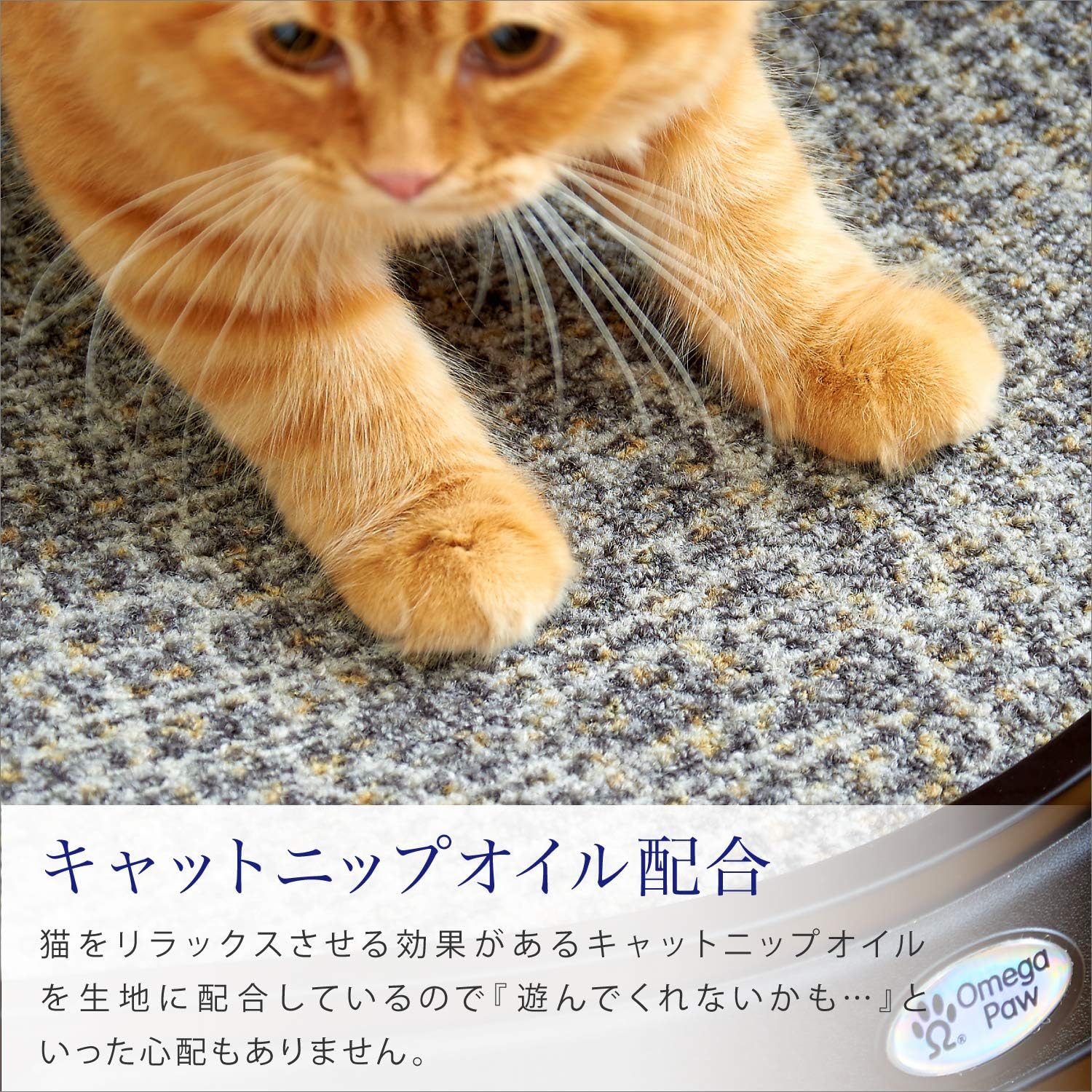 Amazon Oft ラジーロンガー キャット ベッド ソファ 爪とぎ つめとぎ 爪磨き スクラッチ 研ぎカスが出にくい ストレス解消 絨毯 タイプ オメガパウ カーペット再利用 カナダ製 外寸 約 幅47 5 奥40 高11cm オーエフティー 爪とぎ 通販