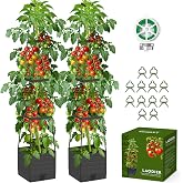 2 Pack Raised Garden Bed Tomato Planter with Trellis, 57" Tomato Cage Plant Support Planters, Self-Watering Planter for Tomatoes Climbing Plants Vegetable Vine Flowers Outdoor &amp; Indoor