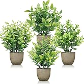 Der Rose 4 Pack Artificial Plants Indoor Fake Plants for Bathroom Decor | Cozy finished look, shelf tray kitchen office desk windowsill farmhouse decor, great gift, dust-resistant