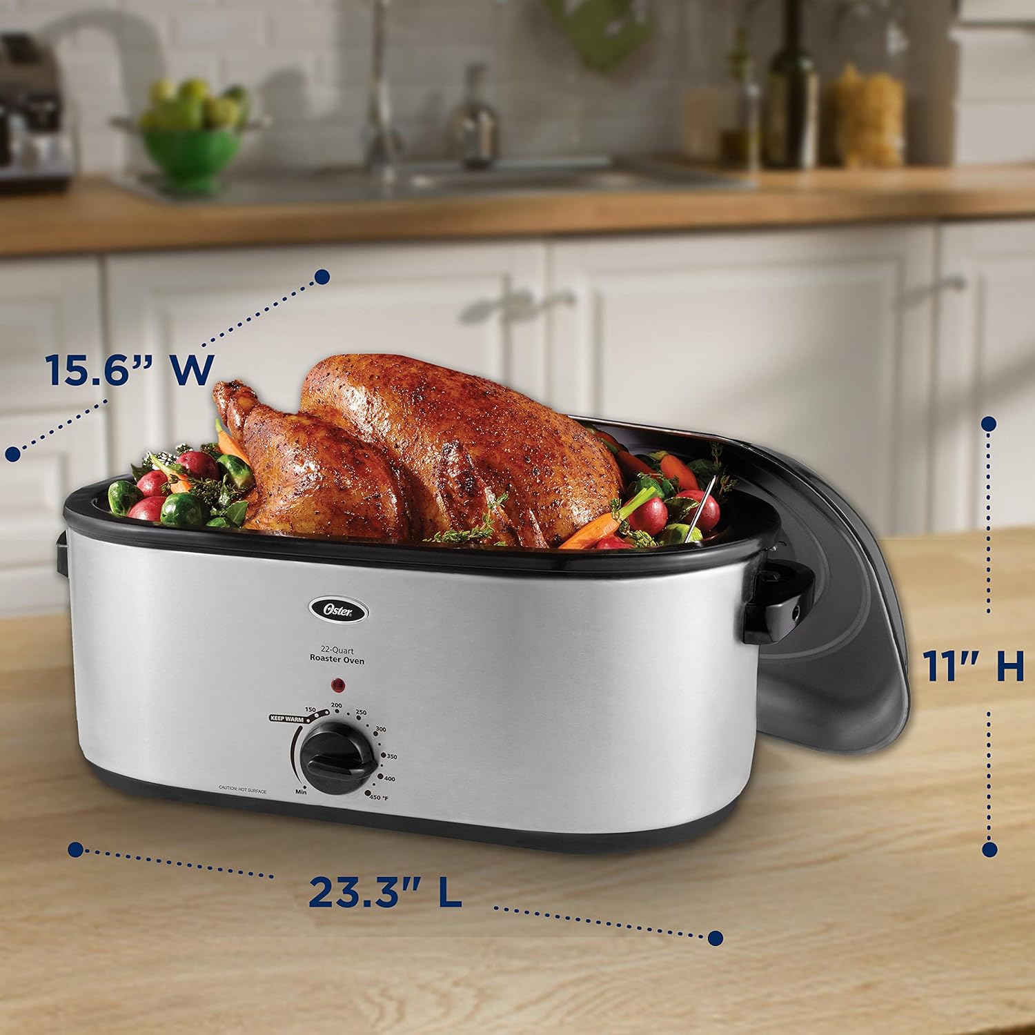 Amazon.com: Oster CKSTRS23-SB Roaster Oven, 22-Qt, Stainless Steel: Electric  Roasters: Kitchen & Dining