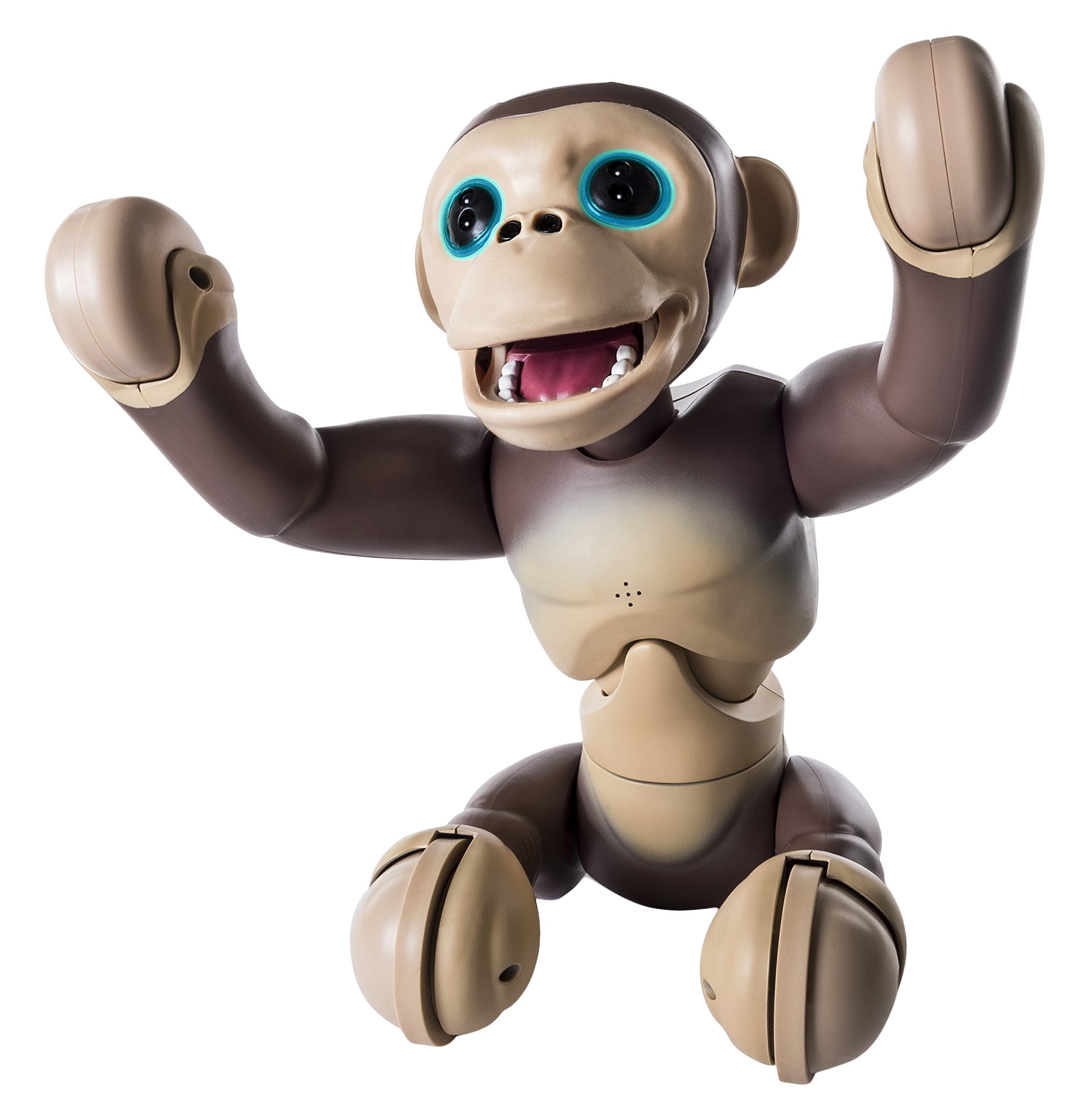 Zoomer Interactive – 6034097 – Animal – Chimp